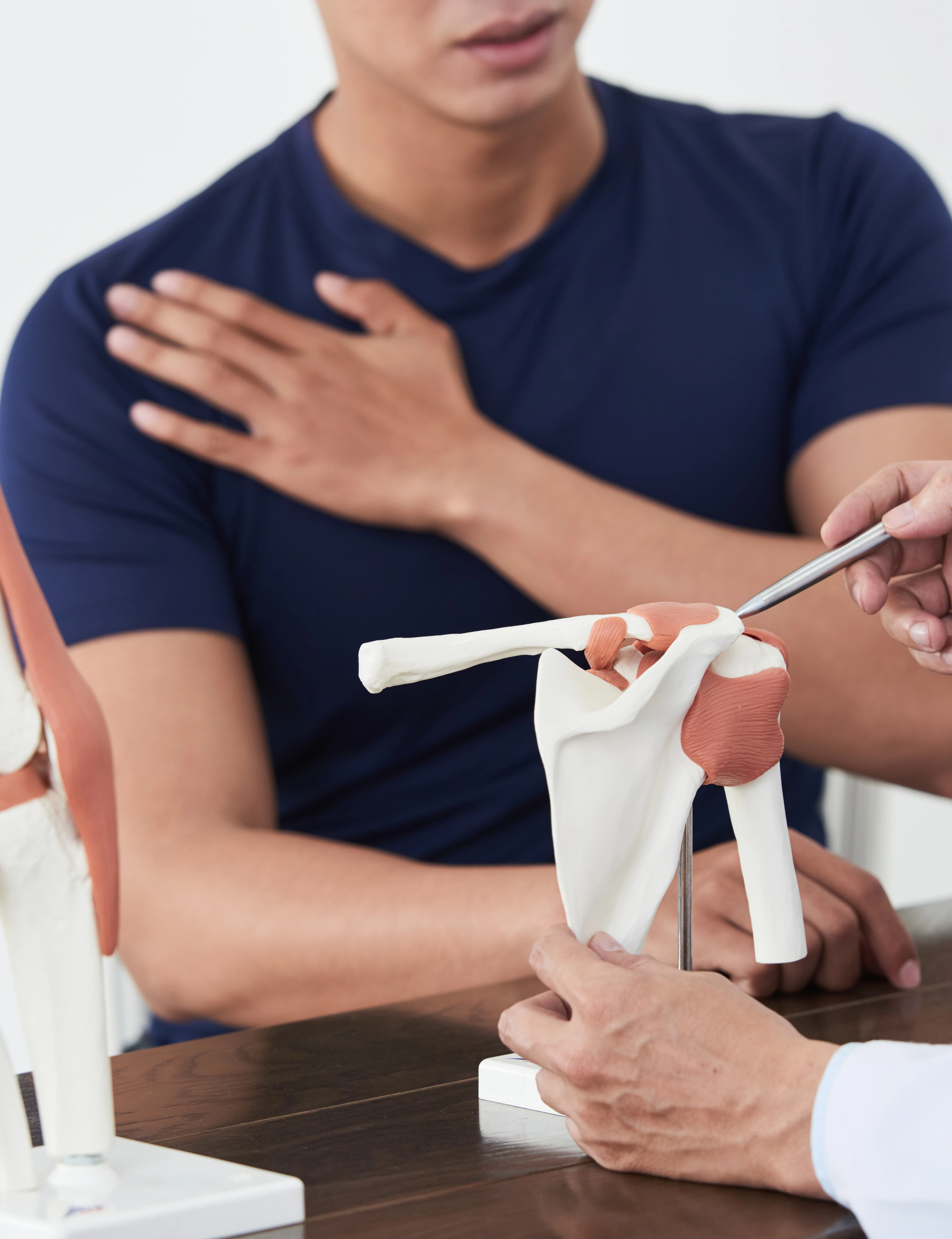 Doctor showing patient shoulder anatomy model