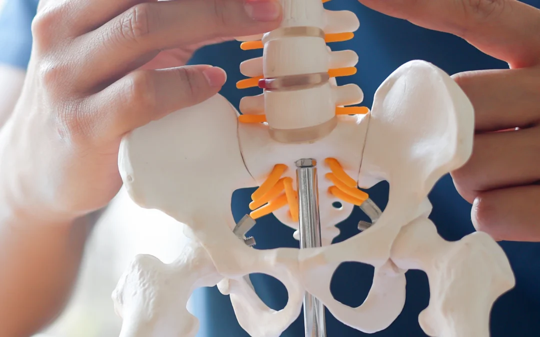 Chiropractic Care for Herniated Disc Pain